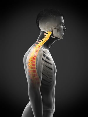 Medical illustration of cervical and upper thoracic spine pain highlighting spinal inflammation, commonly treated with physical therapy.